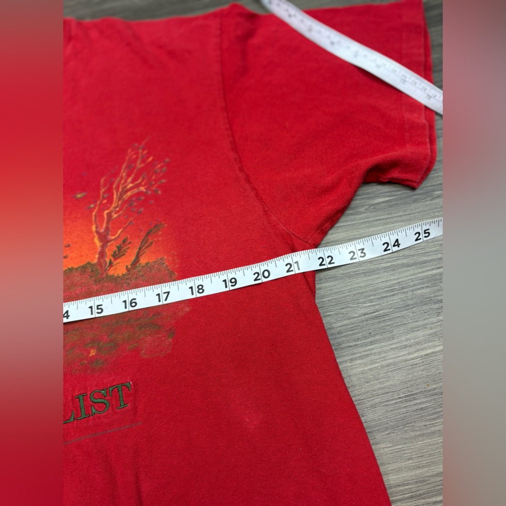 Vtg Disney Store Pooh Naturalist T-Shirt Sz L Red Piglet Single Stitch USA Made - Picture 7 of 11